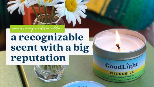 Sourcing Citronella: A Recognizable Scent with a Big Reputation