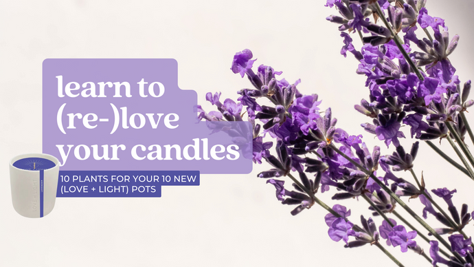 Grow Love & Light: 10 Flowers for 10 New Pots