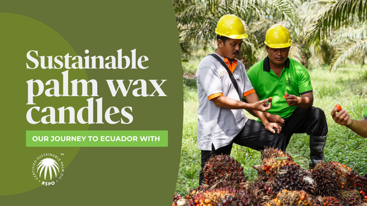Journey to Ecuador: Why We Support RSPO Sustainable Palm Oil