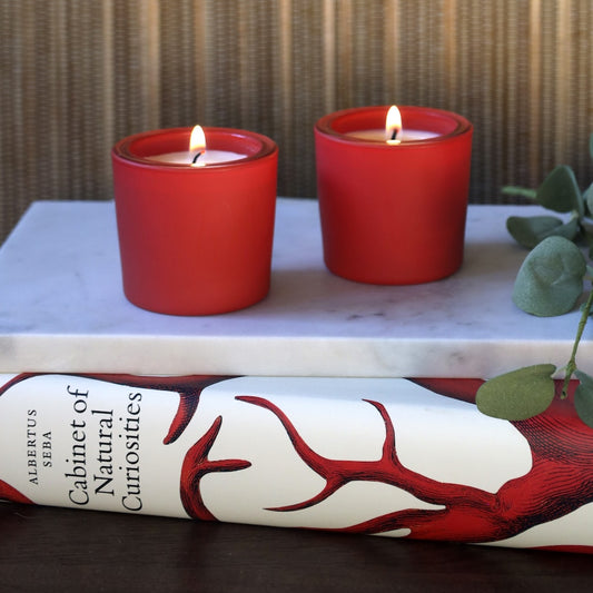 Two red candles burning on a book 