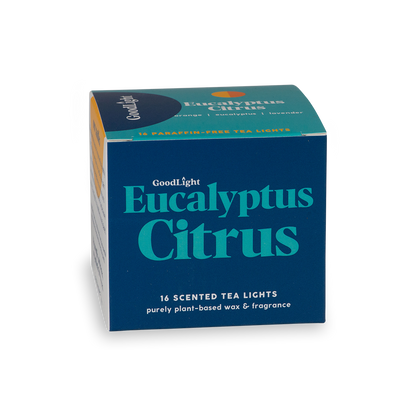 Box of GoodLight Eucalyptus Citrus scented tea lights on a white background