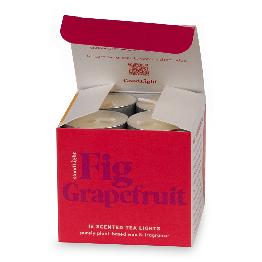 Open box of GoodLight Fig Grapefruit scented tea lights on a white background