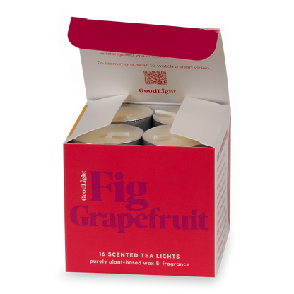 Open box of GoodLight Fig Grapefruit scented tea lights on a white background