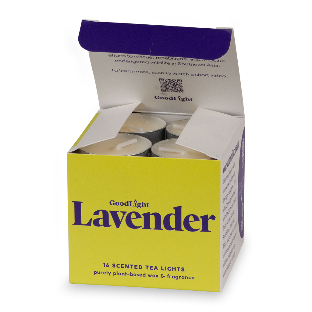 Open box of GoodLight Lavender scented tea lights on a white background
